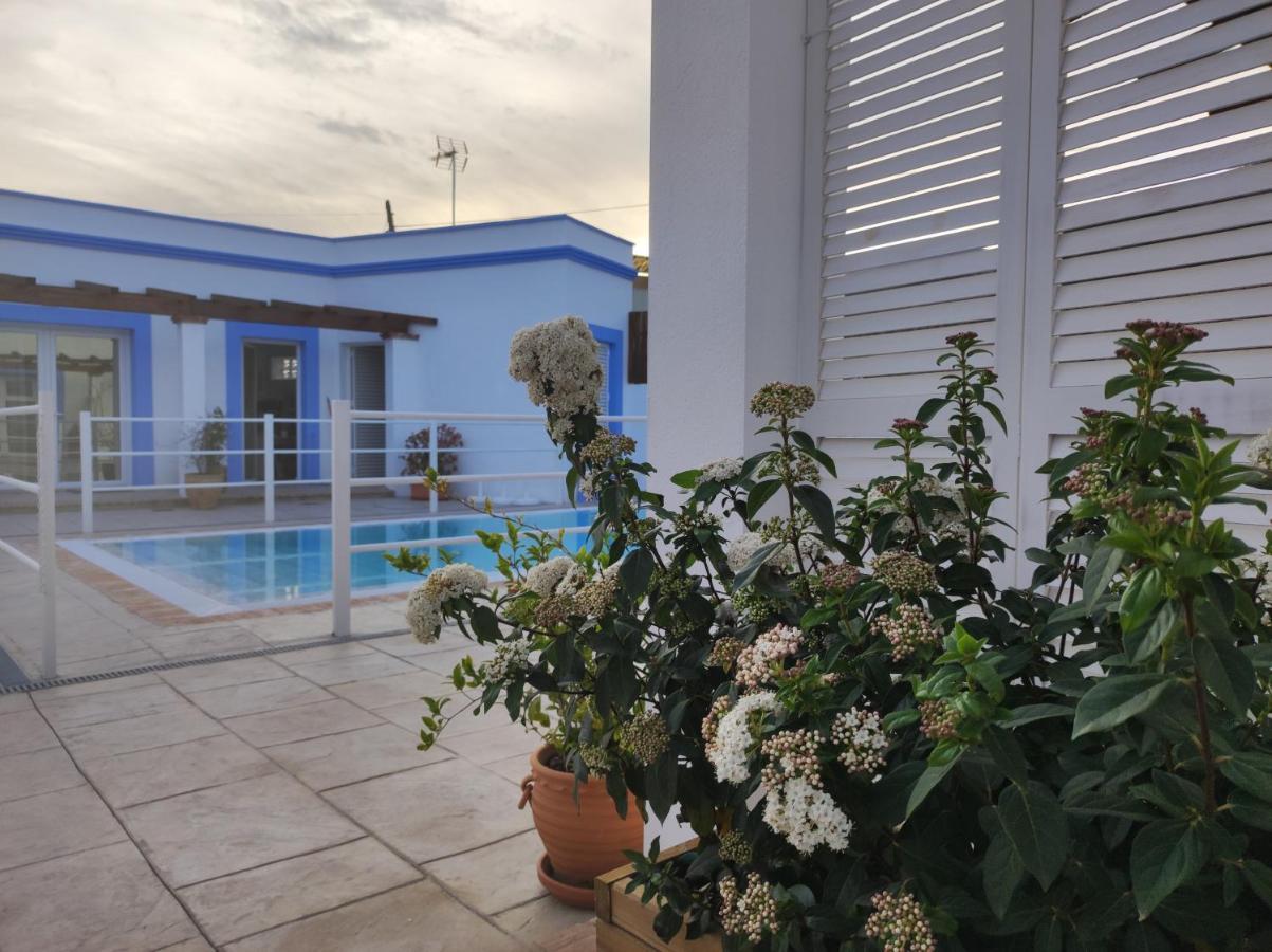 Apartamentos Atenea Jerte Esterno foto